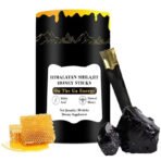 Shilajit Honey Sticks, Pure Himalayan Shilajit & ORGANIC HONEY & Saffron (30 Sticks) - 85+ Minerals, 3-Ingredient Natural for Men & Women Energy Immune Support