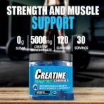 Creatine Monohydrate Infused Gummies, Blueberry Flavor, 120 Gummies, Muscle Growth, Strength, Energy, Pre-Workout, Vegan, Sugar-Free, Fitness Healthcare Supplement - Image 2