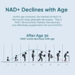 NAD Supplement, 4-in-1 Upgraded NAD+ Resveratrol Supplement 1000mg for Maximum Anti-Aging and Energy Support - Image 4