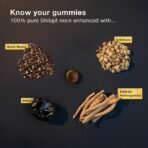 Shilajit Gummies | Alpha Gummies for Men | Lab Tested I No Added Sugar | Ashwagandha, Gokshura | Fulvic Acid & 85+ Trace Minerals for Men, Women | Non-GMO | 60 Gummy - Image 5