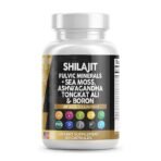Shilajit Supplement for Men with Sea Moss, Tongkat Ali, Ashwagandha, Boron, Zinc, CoQ10, PQQ - Fulvic Acid Capsules - Energy Support - 90 Count - Resin, Gummy & Powder Alternative