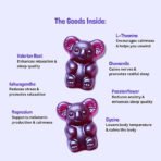 Sugar-Free Sleep Gummies x 60 – Sleep Aid 8-in-1 Formula with Ashwagandha, L Theanine, 5 HTP, Magnesium & More, High Strength Natural Berry Flavoured, Get Koala-Ty Sleep, 60 Gummies - Image 3