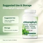Chlorophyll Super Greens Complex | 240 Veggie Capsules with Parsley, Moringa, Spirulina, Chlorella, & More | Gluten-Free, No Additives - Image 5