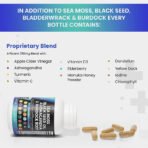 Sea Moss Black Seed Oil Ashwagandha Turmeric Bladderwrack Burdock & Vitamin C Vitamin D3 with Elderberry Manuka Dandelion Yellow Dock Iodine Chlorophyll ACV - Image 5